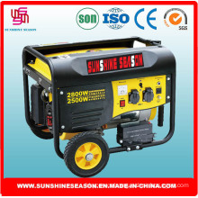 2.5kw Generating Set for Outdoor Supply with CE (SP3000E2)